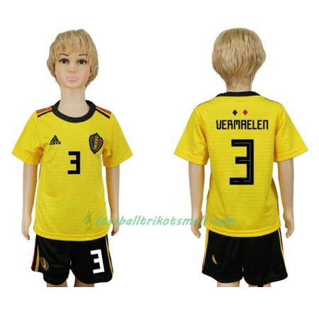 Fußballtrikots Belgien Vermaelen 3 Kinder WM 2018 Auswärts-trikot kaufen